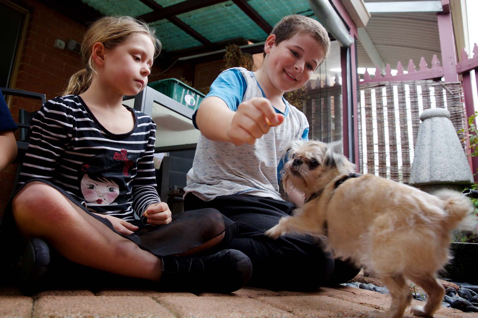 Two children playing with a dog